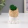 Concrete Kashpo "Buddha" 5.5x6.5x7 cm white with gold with moss (moss green stabilized)