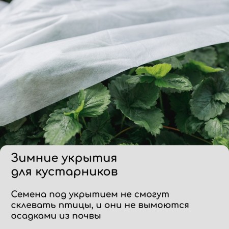 Covering material, 10 × 3.2 m, density 60 g/m², spanbond with UV stabilizer, white, Greengo, economy 30%-3