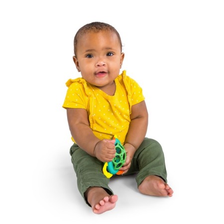 Developing toy Bright Starts "Fun Ball"-6