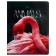 A notebook of 96 sheets in a cage on a clip "Animals", cover coated cardboard, glossy lamination, mix
