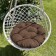 Pillow for swing "Tina", diameter 60 cm, color wenge