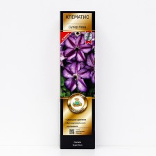 Clematis Botanical suite 