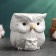 Figure Kashpo "Owl with the Council" Pearl, 12x14x10cm