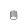 Ceiling lamp Deorsum LED 7W