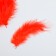A set of feathers for creativity 30 pcs (14-17 cm), red