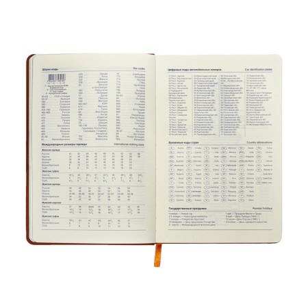 Leduced Diary A5, 140l, Cage, leatherette, elastic band, black cut, brown-8