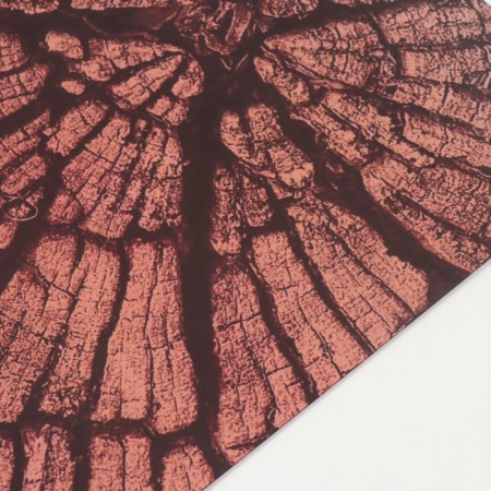Photophone bilateral cardboard density 350 g "Tree" 50x50 cm-4