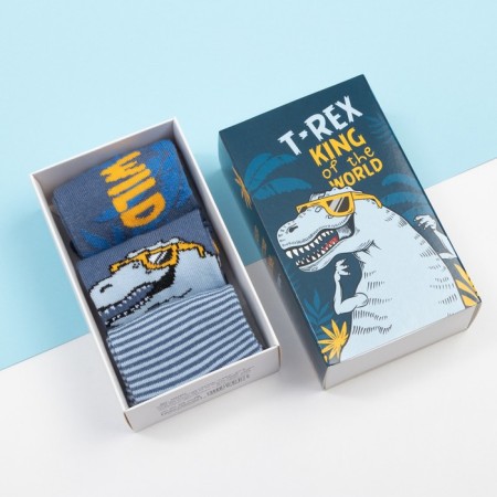 Набор детских носков KAFTAN "T-REX" 3 пары, размер 14-16
