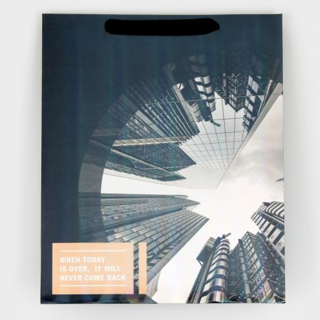 Gift Laminated Vertical, packaging, “skyscraper”, rainbow holography, m 26 x 32 x 12 cm-5