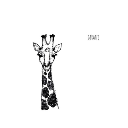 Organizer in a bathtub on the suction cups "Modest Giraffe", for storing toys and trifles, size 33x39 cm-1