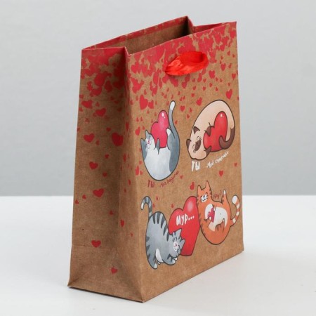 Package Gift Craft Vertical, packaging, “You are my happiness!”, MS 18 x 23 x 10 cm-1