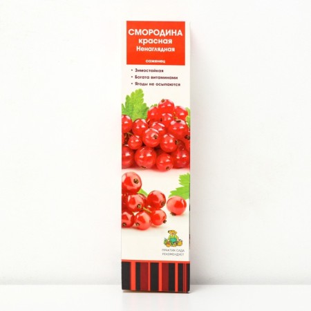 Currants red traditional varieties "beloved", 1 pc, tube, spring 2025