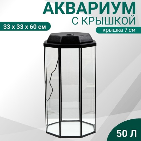Aquarium "Binter" with a lid, 50 liters, 33 x 33 x 60/67 cm, black