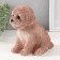 Figure "Puel Poodle" 14.5 x 10 x 14 cm.