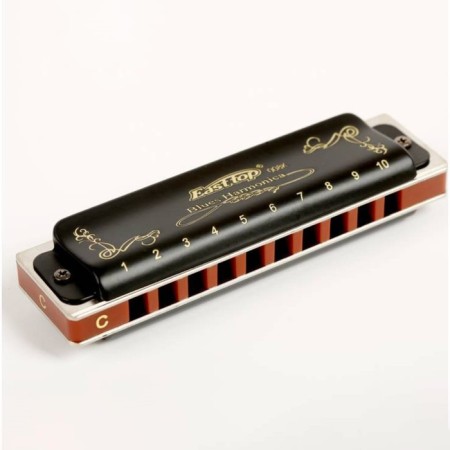 Diathonic harmonica Easttop T008K Paddy D