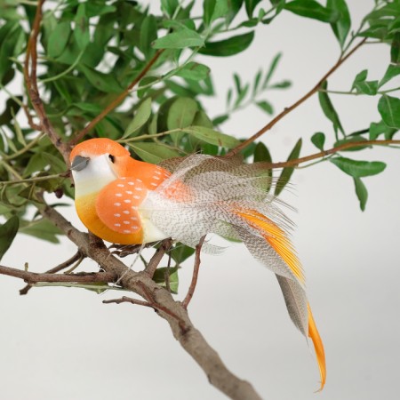 Decor on a bird wire, mix-5