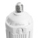 LED LED Feron, E27, 70 W, 175-265 V, white light