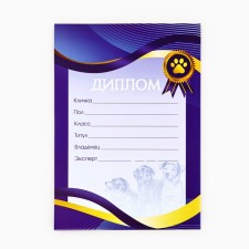 Diploma A4 