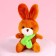Soft toy "My soul mate", Bunny, Mix color