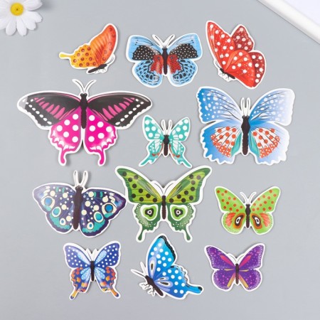 Butterflies cardboard "peas" set 12 pcs h = 4-10 cm on magnet-2