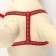 The reflective “bones” set, a collar of 120 x 1 cm, Osh 26-42 cm, fire 26-42 cm, red
