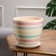 Flower Pot "Ribbon" White Crocus No. 4 4.2 l