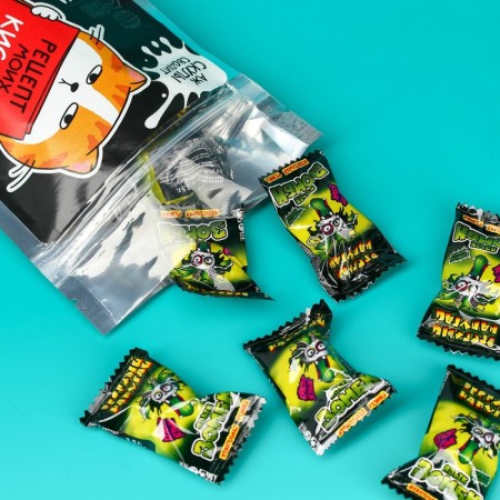 Chewing gum, acidic "Recipe for sour cabbage soup", 45 g.-2