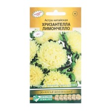 Flowers of Astra Chinese Chrysantella Limonchello, 5 pcs