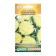 Flowers of Astra Chinese Chrysantella Limonchello, 5 pcs