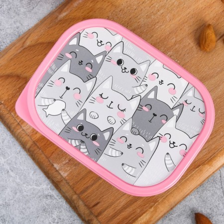 Rectangular “cats” lunch-bex, 500 ml-2