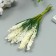 Decor for creativity "Ivan Tea" 1 bouquet = 10 cream flowers 1.5x14 cm