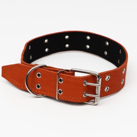 Leather collar on synthetic winterizer, dimensionless, 83 x 4.5 cm, Osh 20-71 cm, orange-1