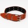 Leather collar on synthetic winterizer, dimensionless, 83 x 4.5 cm, Osh 20-71 cm, orange