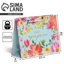 Gift laminated package, packaging, Beautiful, MS 23 x 18 x 8 cm