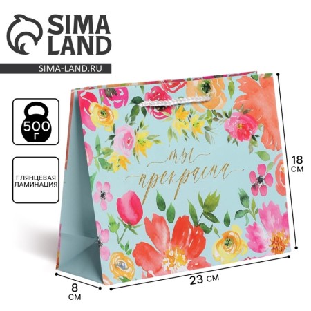 Gift laminated package, packaging, Beautiful, MS 23 x 18 x 8 cm