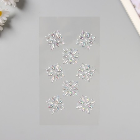 Stick plastic rhinestones for hair "Flower scattering" silver 25x13 cm-1