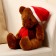 Soft toy "Bear", in the New Year's cap, 20 cm, brown color