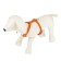 Leather slide for dogs Malaya Zononic, Osh 14-27 cm, fire 25-36 cm, width 1.5 cm, mix