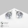 Earrings with rhinestones "Pusets" radiance, circle, d = 0.7, white color in silver