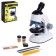 Children's microscope "Young scientist" The frequency of x100, x400, x1200, backlight, white color