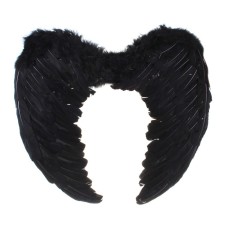 Angel wings, 55 × 40, black
