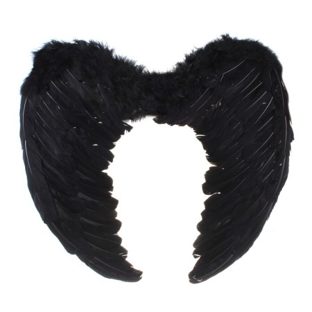 Angel wings, 55 × 40, black