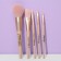 A set of makeup brushes "The most stylish", 5 pcs