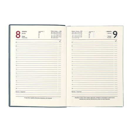 Dated 2025 diary, Escalada, A6+ 176 sheets, soft cover, artificial leather, pancake embossing, tinted block 70 g/m2, gray-11