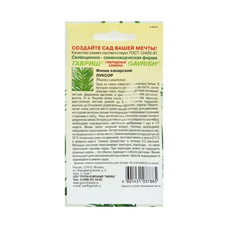 Seeds of indoor flowers dates "Luxor", 2 pcs.-3