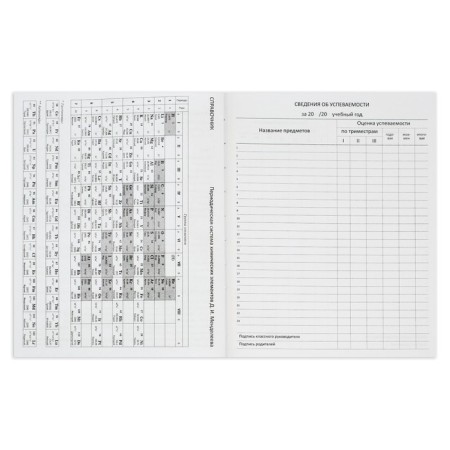 School diary for grade 1-11, Selfie & shoes, hard cover, artificial leather, block 80 g/m2, Liesse-10