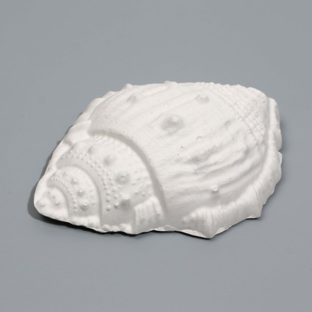 Mineral stone "Pigger" for birds, a shell with coal, 90 g-2