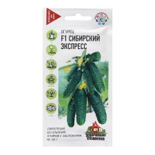 Seeds of cucumber 