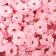 Soap flower sakura, pink