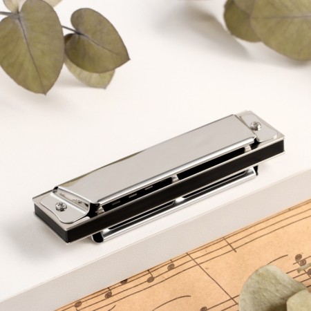 Music Life T10 C Diatonic Harly, 10 holes, with a case-2